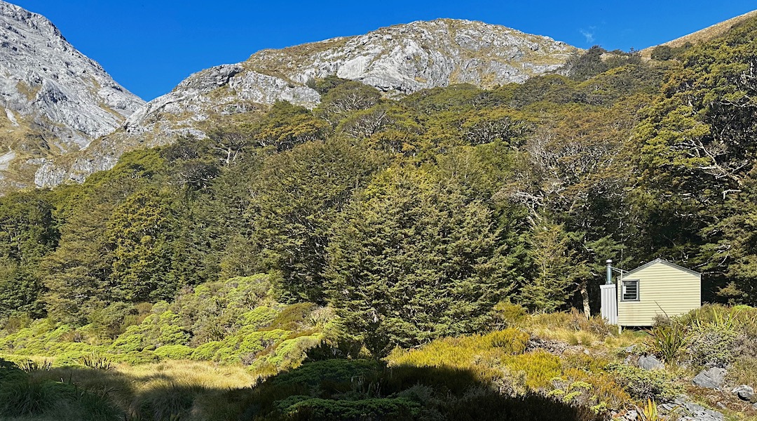 Beautiful setting. | Ellis Hut, Kahurangi National Park