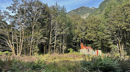 The clearing has been extended to allow for safe helicopter landings. | Kakapo Hut, Kahurangi National Park