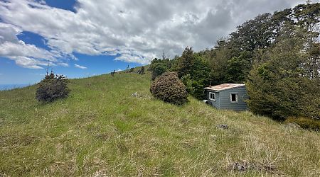 The hut is hidden from view when you come up the track. | Mt Malita Hut, Nelson City Council