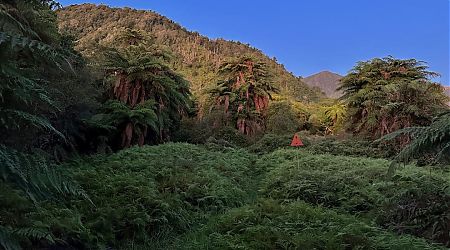 Sun is setting on the way to Belltown Manunui Hut.  | West Coast blog, April 2023