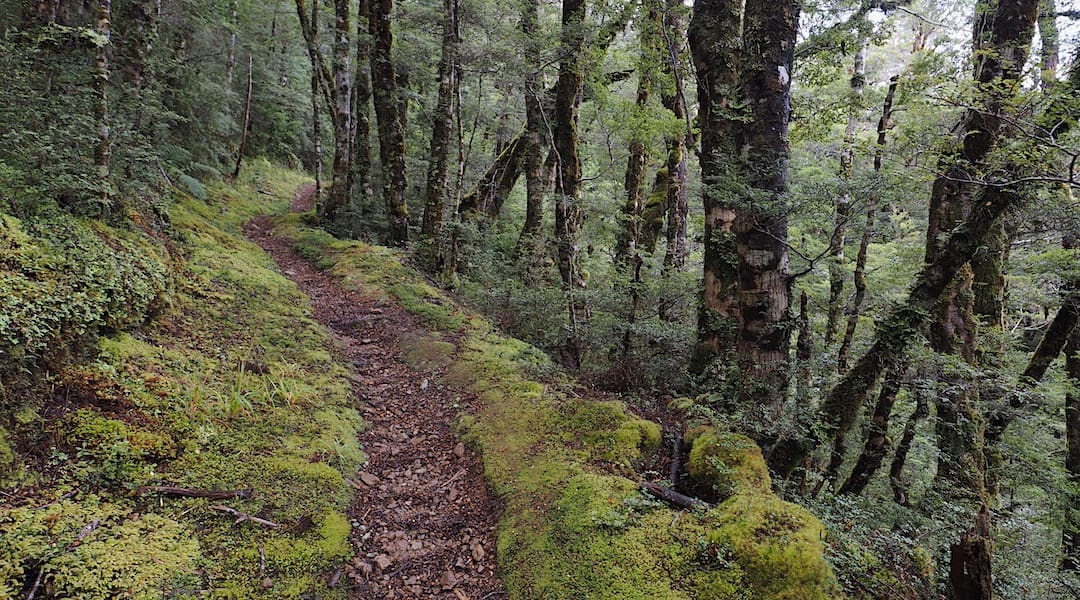 Track up to Big River Hut, near Waiuta | West Coast blog, April 2023