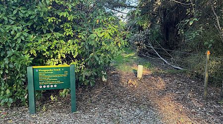 Carpark signage at the start. | Kakapo River loop, Kahurangi National Park