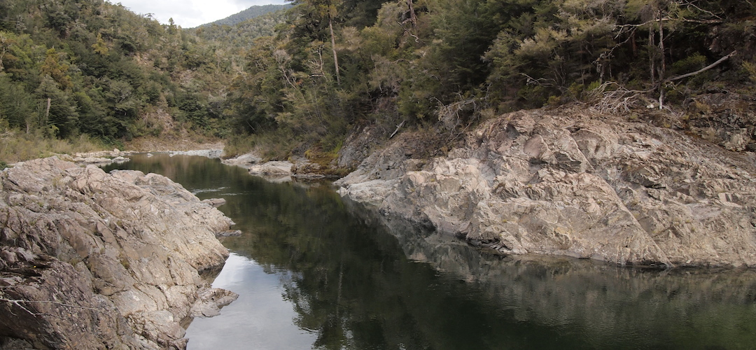 Pelorus River, Mt Richmond Forest Park