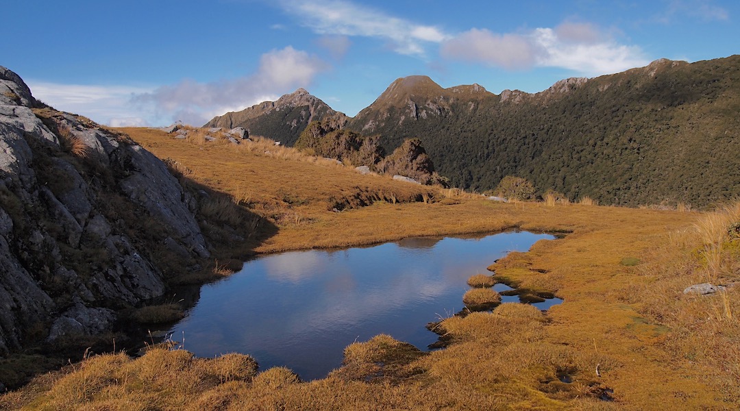 Tarn at the top of Little Wanganui Saddle. | Kākāpo River loop, Kahurangi National Park