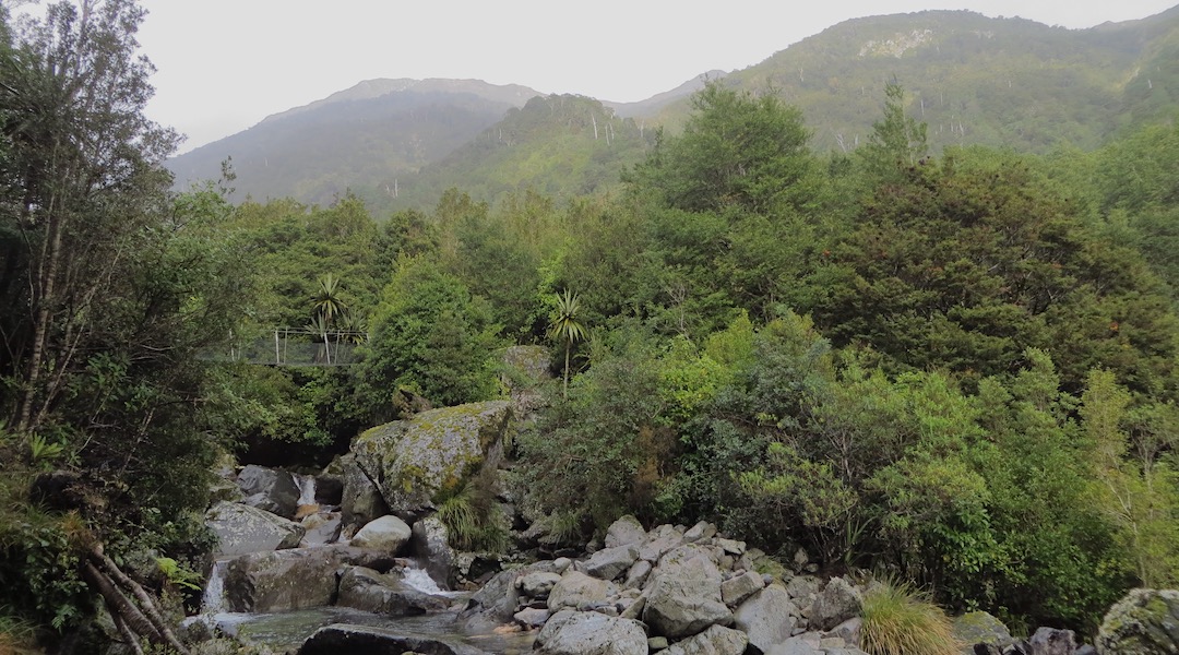Little Wanganui River swingbridge near the shelter. | Kākāpo River loop, Kahurangi National Park