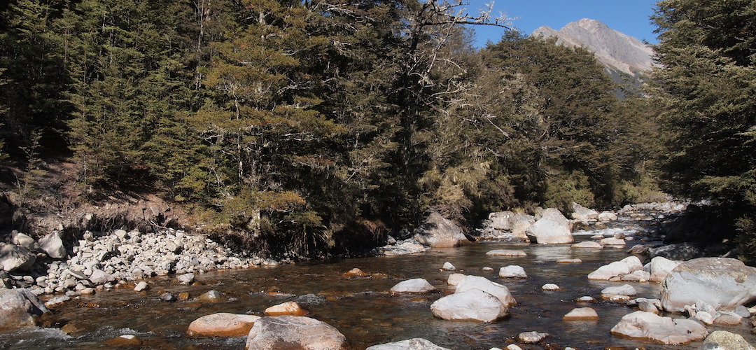 Travers River at John Tait Hut, Travers-Sabine circuit, Nelson Lakes National Park