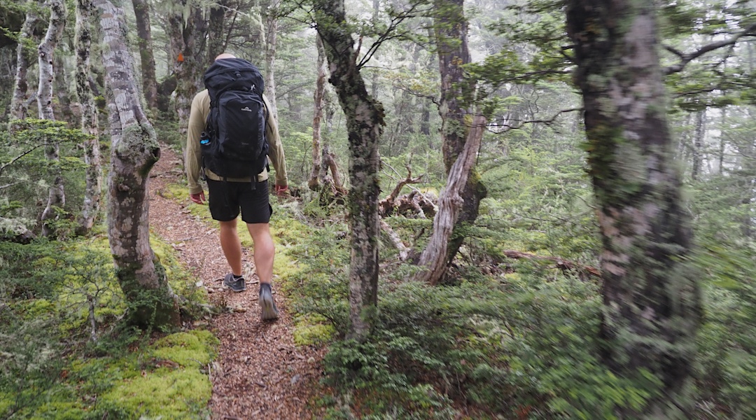 Heading out on a well-worn and beautiful  track. | Black Hill Hut, Oxford, Canterbury