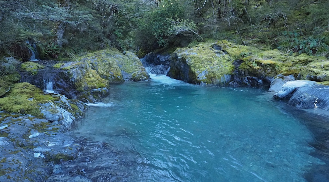 Hint here. Don't go up the creek as there is a waterfall to get around. Look for the vague track markers on the left. | Burn Creek, Nelson Lakes National Park