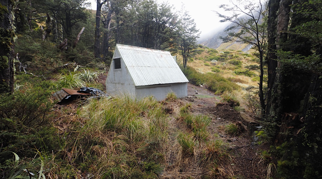 Burn Creek Hut pre-restoration, November 2023 | Burn Creek, Nelson Lakes National Park