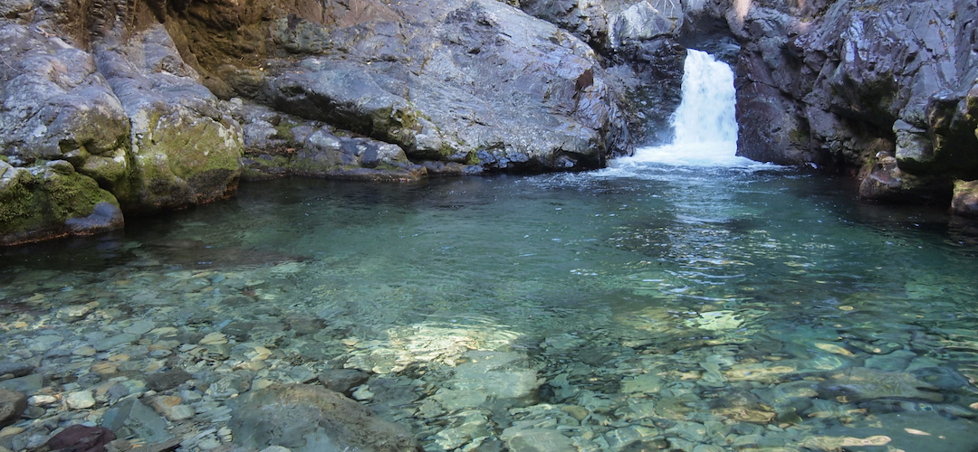 Wairoa River near Mid Wairoa hut, Alpine Route, Mt Richmond Forest Park