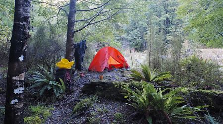 If you tear your Achilles tendon, set up your tent in the rain and take the rest of the day off. | Nardoo Creek campsite, Nelson Lakes National Park