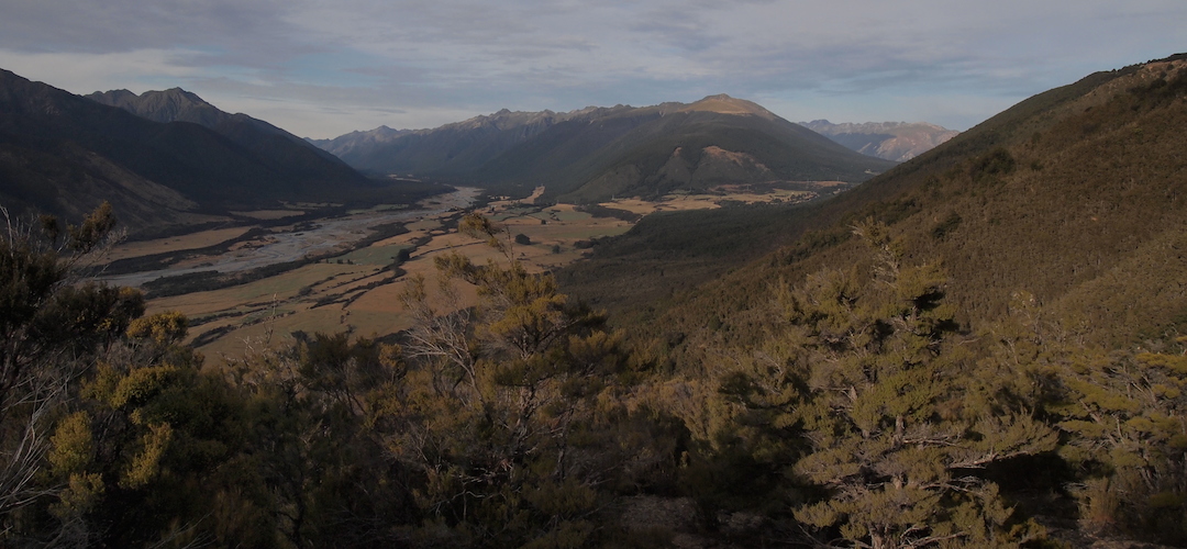 Wairau valley near Red Hills hut, Alpine Route, Mt Richmond Forest Park