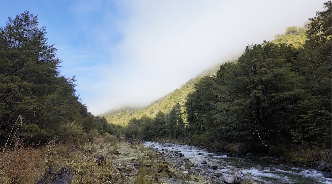 The river flat where I heard the ping. | Nardoo Creek, Nelson Lakes National Park