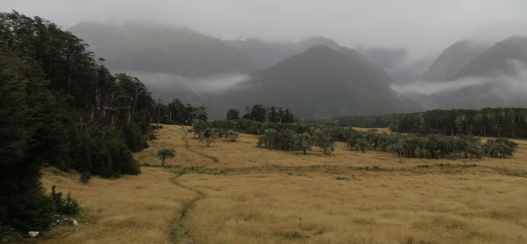 near Christopher Cullers Hut, St James Walkway