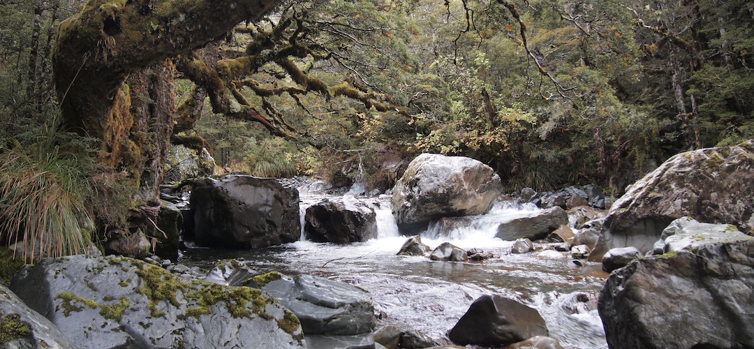 upper Maruia River, St James Walkway