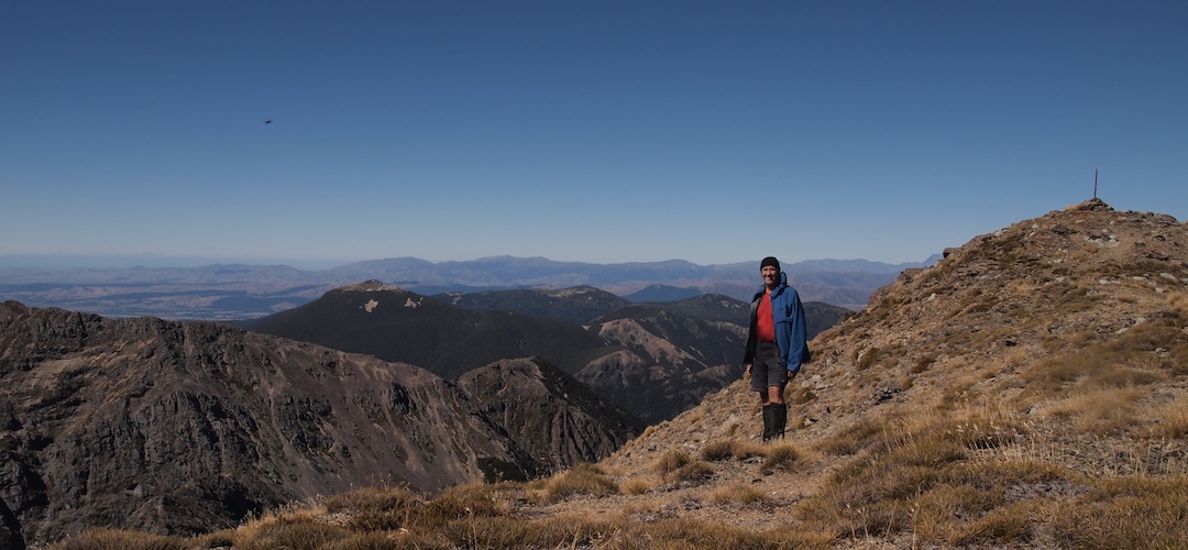 top of Mt Rintoul, Alpine Route, Mt Richmond Forest Park