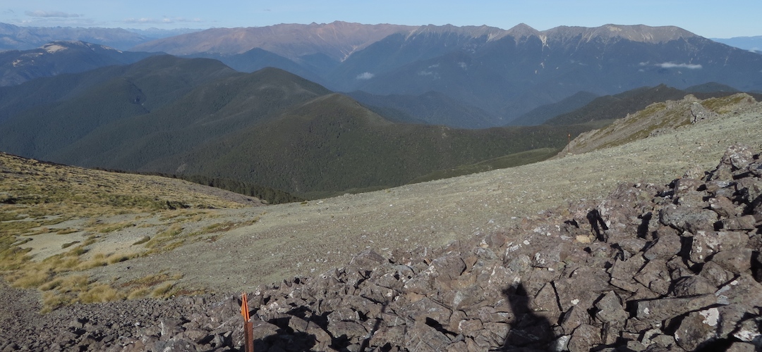 from Purple Top, Alpine Route, Mt Richmond Forest Park
