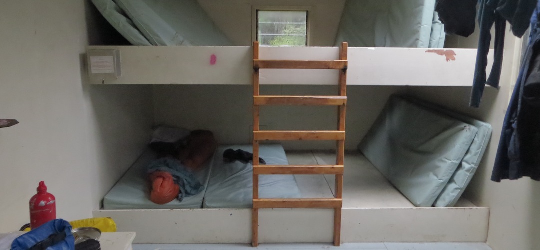 sleeping platform in Browning Hut, Mt Richmond Forest Park
