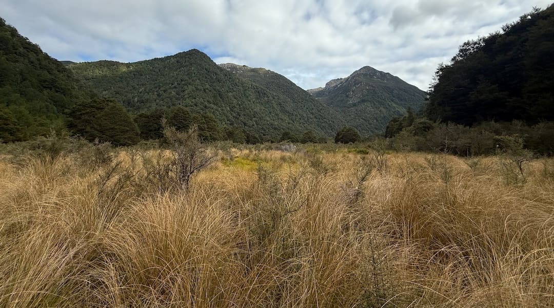 Johnson River Track 2