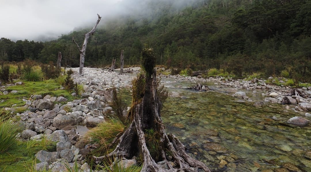 Johnson River track 3.jpg