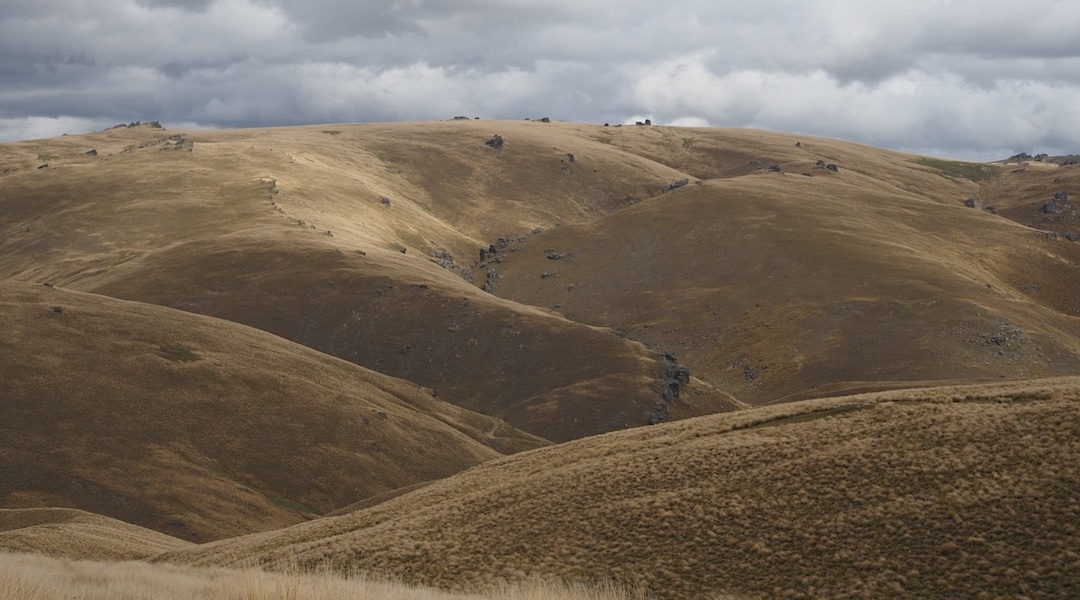 Tussock and rock outcrops. | Lauder Basin Conservation Area