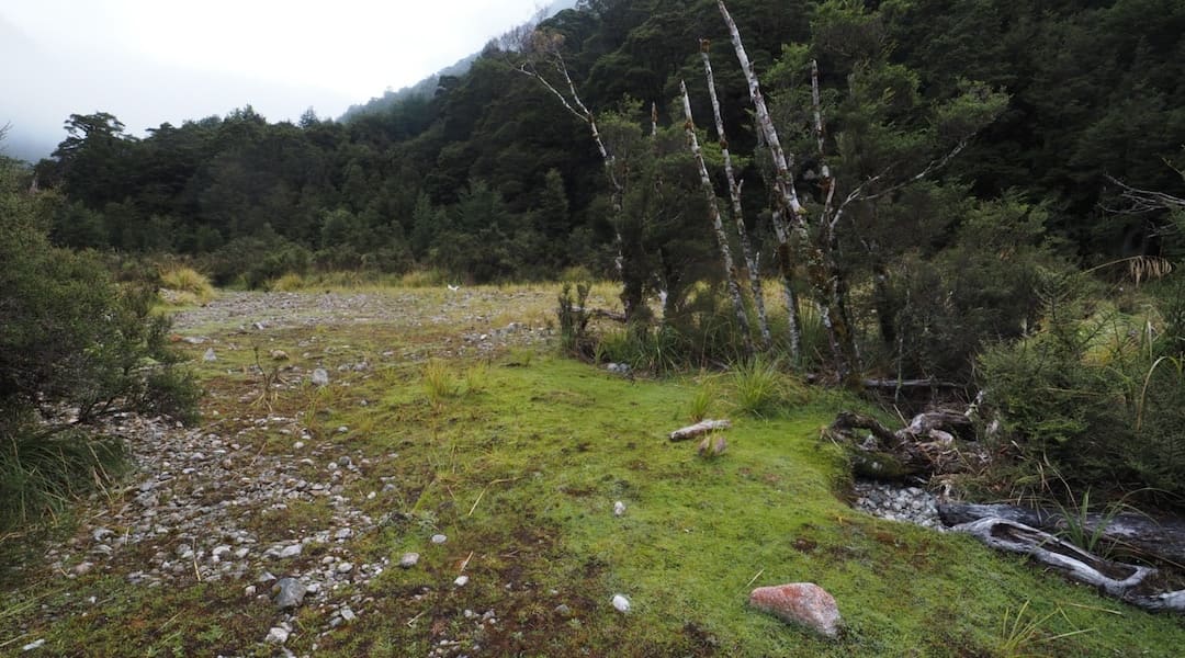 Johnson River campsite, Kahurangi National Park