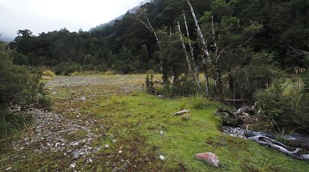 Johnson River campsite, Kahurangi National Park