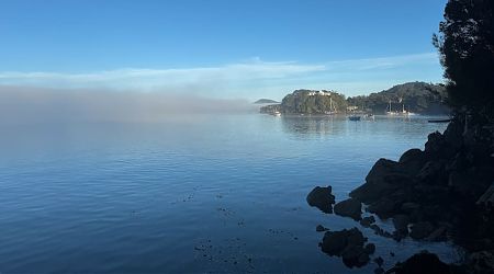 Morning mist at Golden Bay. |  Patterson Inlet/Whaka a Te Wera, Rakiura/Stewart Island