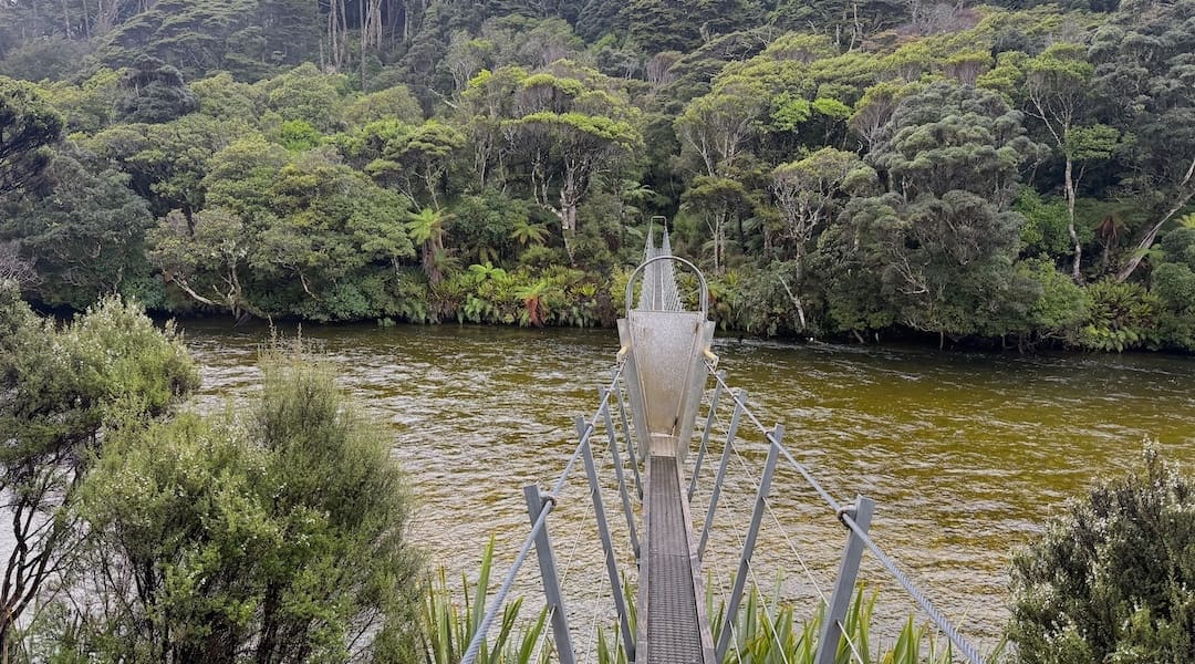 Possum prevention door on swingbridge over the Waitutu River. | Waitutu River, Fiordland National Park 