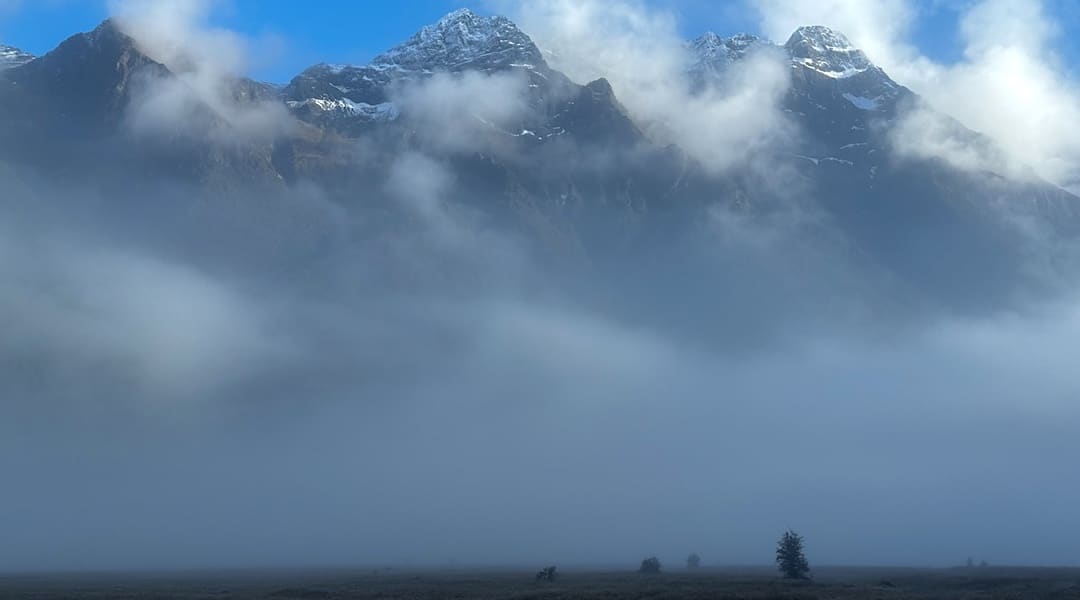 Morning mist on the Milford Road. | Eglington Valley, Fiordland National Park