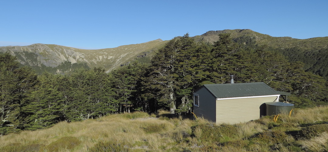 Slaty Hut, Alpine Route, Mt Richmond Forest Park