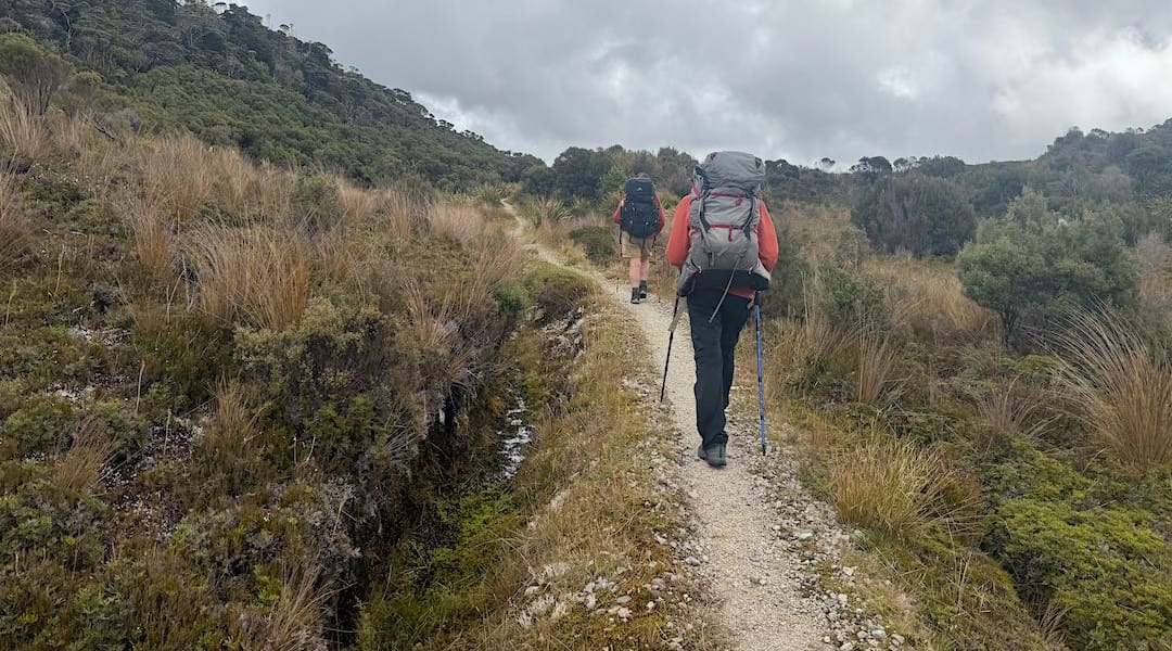 Out on the Mackay Downs. | Near James Mackay Hut, Heaphy Track