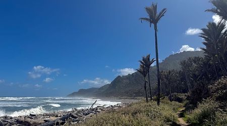 The rain has gone, but the wind is blowing fierce. | Heaphy Track