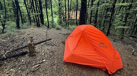 Camping in the beech forest. |  Benmore Hut