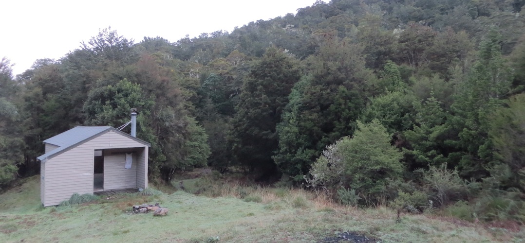 Browning Hut, Mt Richmond Forest Park, the setting