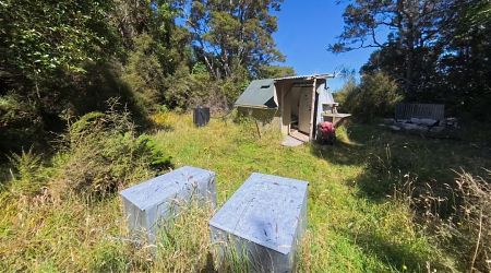 Two dog kennels for the hunters. | Napoleon Bivvy, Isolated Hill Scenic Reserve