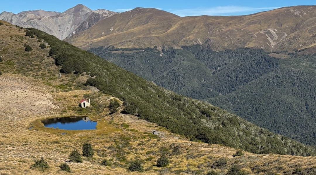 The Puketeraki Range is the attractive backdrop. | Tarn Hut, Puketeraki Forest Conservation Area