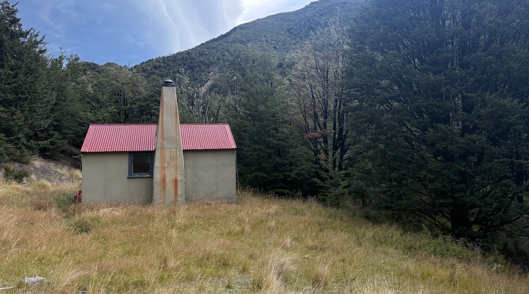 Just your typical SF 70 ex-New Zealand Forest Service hut. | Youngmans Stream Hut, Puketeraki Forest Conservation Area