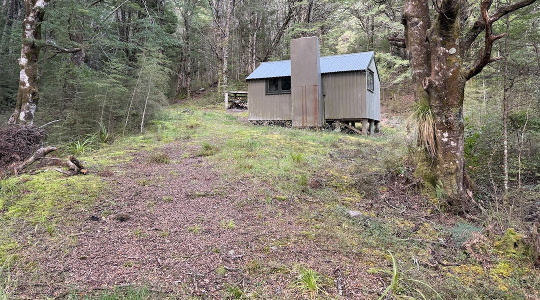 It's a bit dark being in the forest. | Cromel Base Hut, Eyre Mountains/Taka Rā Haka Conservation Park