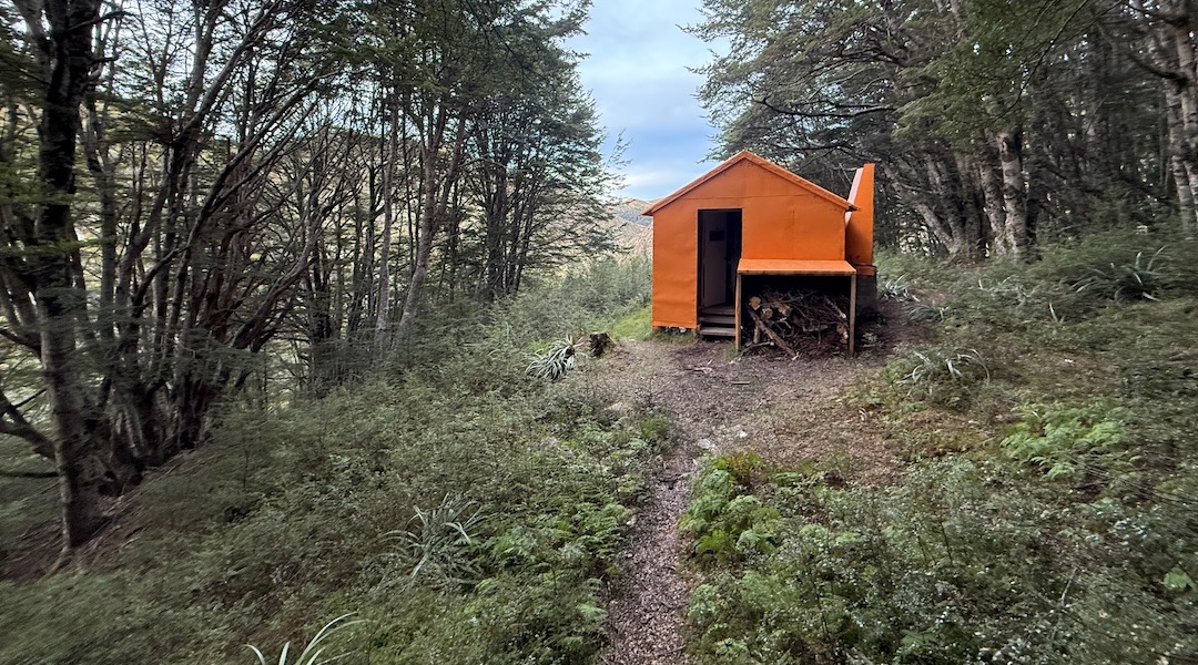 Islands Hut is hidden away on the edge of the forest. | Islands Hut, Eyre Mountains/Taka Rā Haka Conservation Park