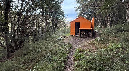 Islands Hut is hidden away on the edge of the forest. | Islands Hut, Eyre Mountains/Taka Rā Haka Conservation Park