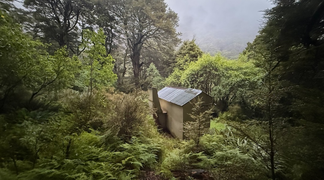 The forest is encroaching on the hut. | Upper Cromel Hut, Eyre Mountains/Taka Rā Haka Conservation Park