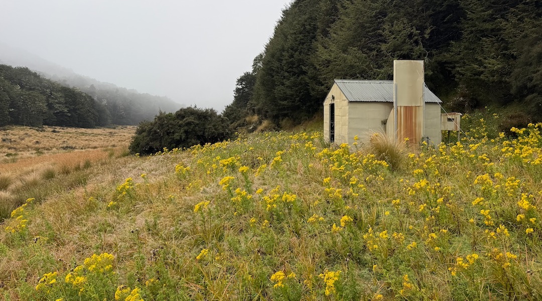 Hut is on an old river terrace, above the swampy tussock. | Cromel Branch Hut, Eyre Mountains/Taka Rā Haka Conservation Park