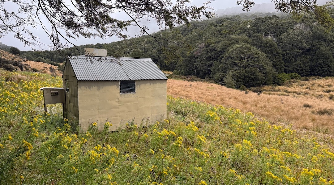 Very similar to Islands Hut. | Cromel Branch Hut, Eyre Mountains/Taka Rā Haka Conservation Park