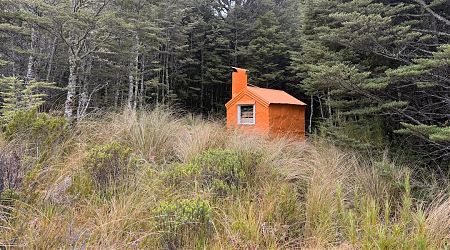 Irthing Hut is on the edge of the forest. | Irthing Hut, Eyre Mountains/Taka Rā Haka Conservation Park
