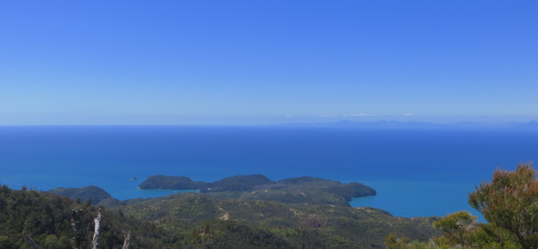 Up the hill behind Anchorage looking over Tasman Bay. | Abel Tasman National Park
