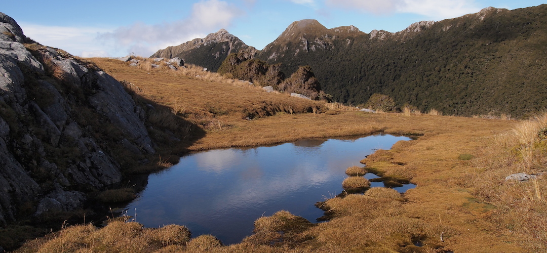 Tarn at the top of Little Wanganui Saddle on Leslie Karamea Track, Kahurangi National Park