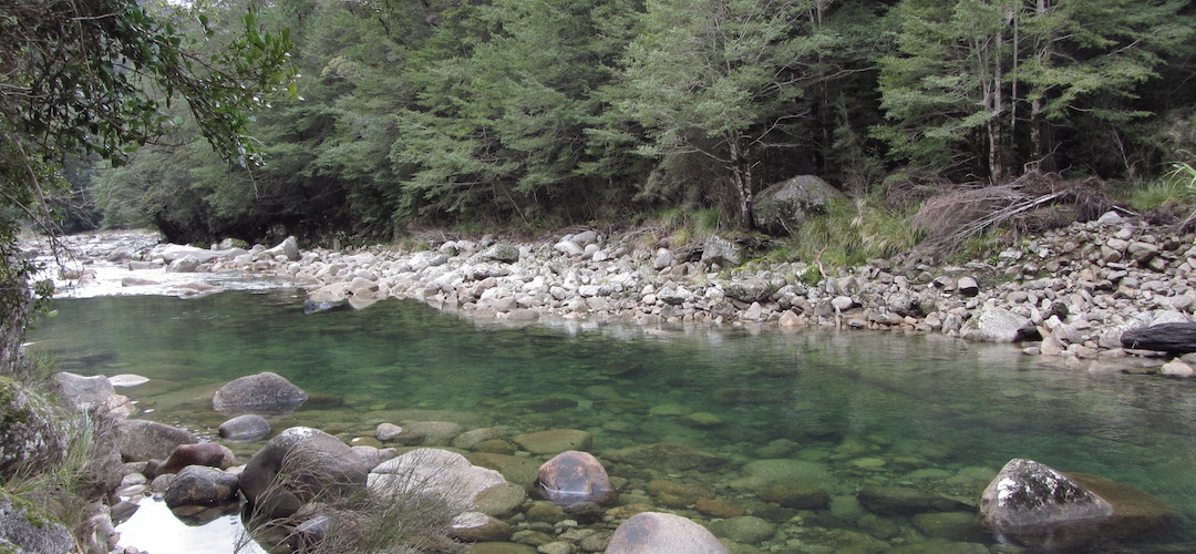 Karamea River, Leslie-Karamea track, Kahurangi National Park