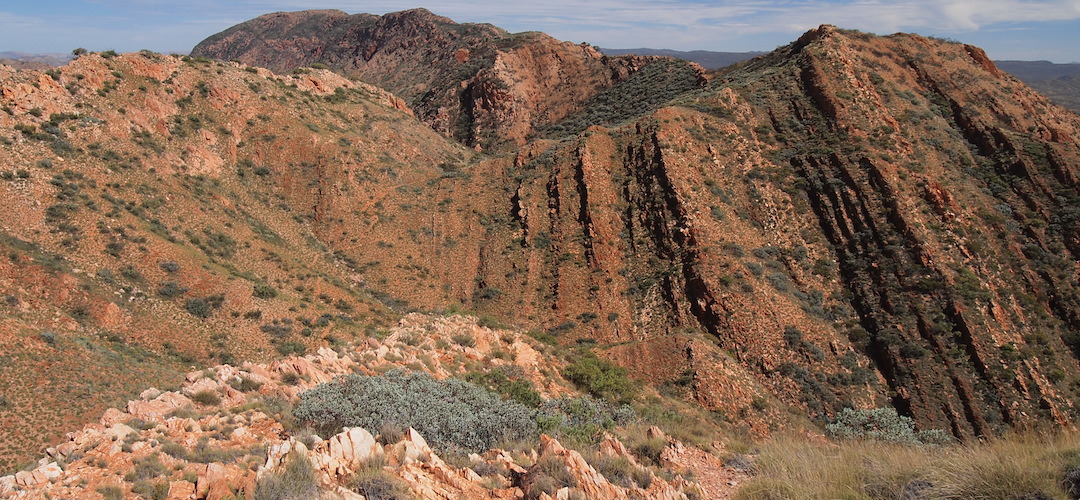 Wandering along Razorback Ridge, big views either side, just a-mazing. |  Larapinta Trail, Central Australia