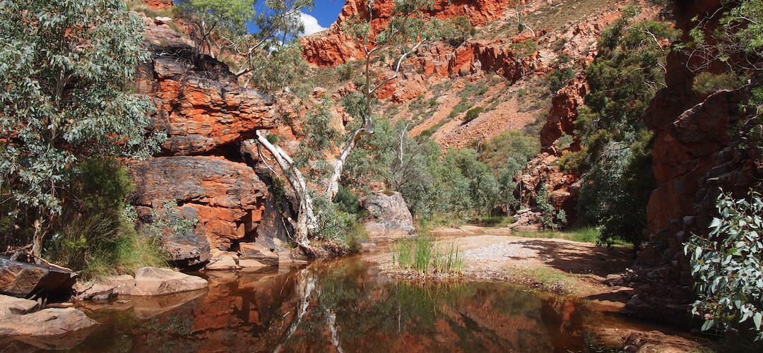 Wandering down the picturesque Hugh Gorge is real nice. | Larapinta Trail, Central Australia